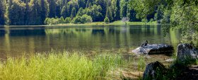 Phoca Thumb M Pano Am Feldsee 2406 2020